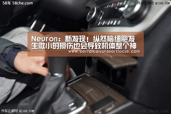 Neuron:新发现!纵然脑细胞发生微小的损伤也会导致机体整个神经系统功效失调!“开云网址登录入口”(图2) 开云平台登录入口