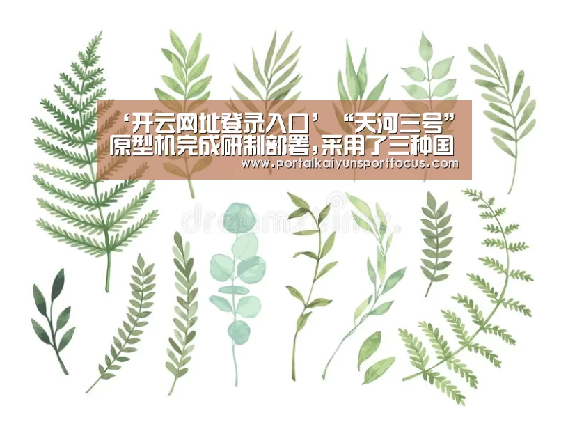 ‘开云网址登录入口’“天河三号”原型机完成研制部署,采用了三