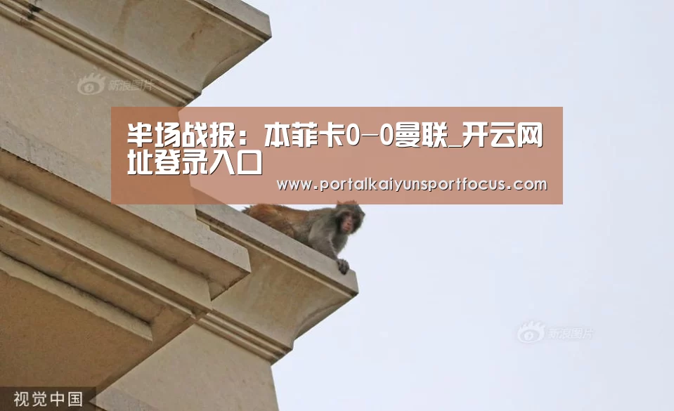 开云官方登录